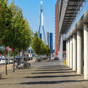 3-30-300 vuistregel en mentale gezondheid: verband blijft onduidelijk